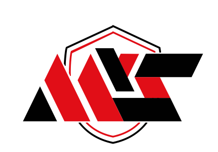 M & S Seguridad y Servicios Integrales